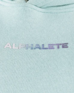 Trilogy Crop Hoodie