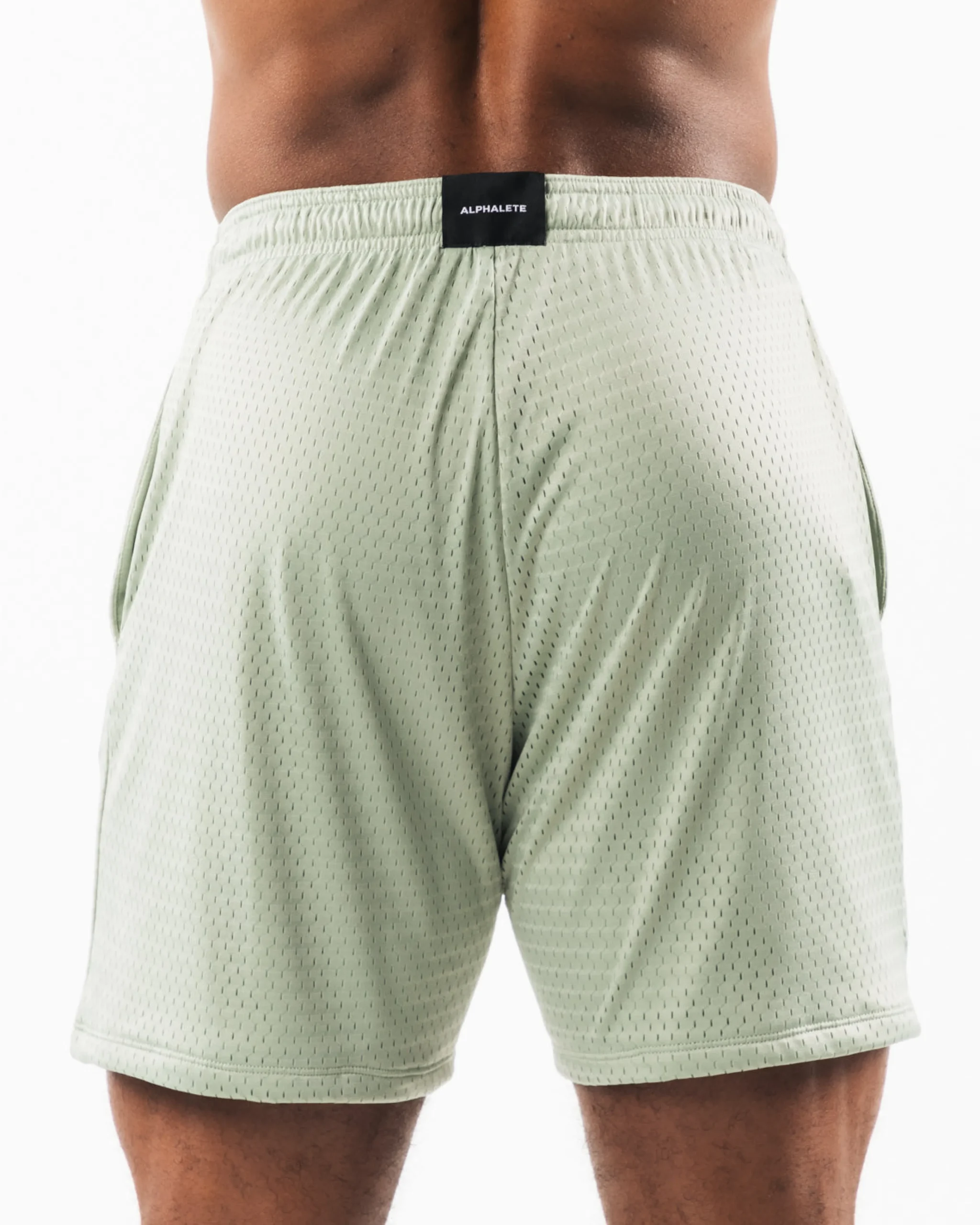 Wolf Head Mesh Short 6"